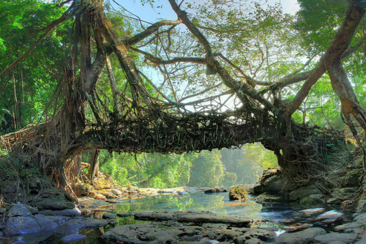Mawlynnong, Meghalaya